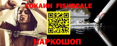 крисы Славгород