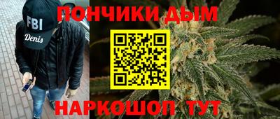 крисы Славгород