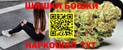крисы Славгород