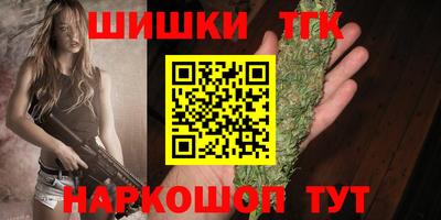 крисы Славгород