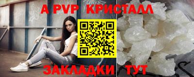крисы Славгород