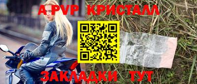 крисы Славгород