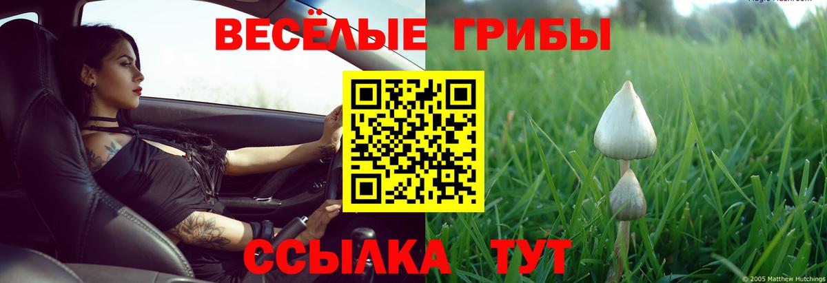 Псилоцибиновые грибы MAGIC MUSHROOMS Омск