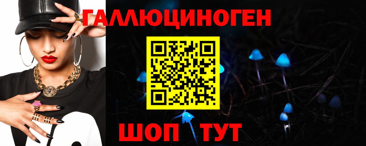 Омск  Псилоцибиновые грибы GOLDEN TEACHER  Вход с VPN  Галлюциногенные грибы Psilocybine cubensis 
